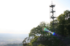 2009